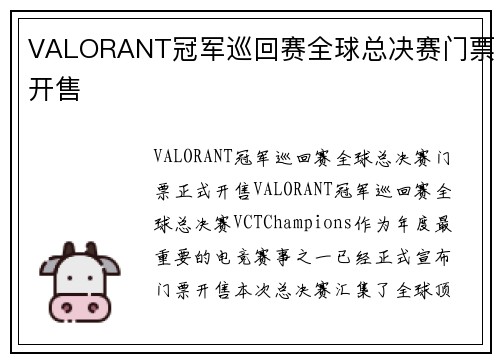 VALORANT冠军巡回赛全球总决赛门票开售
