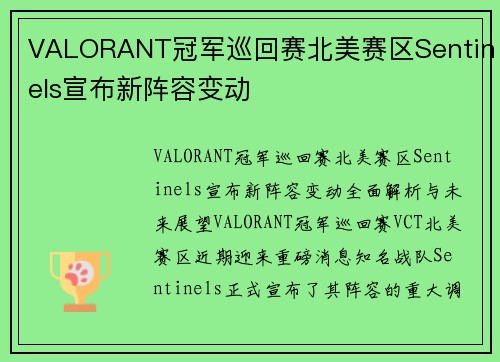 VALORANT冠军巡回赛北美赛区Sentinels宣布新阵容变动