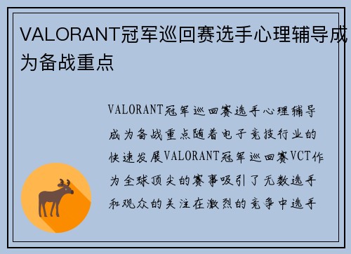 VALORANT冠军巡回赛选手心理辅导成为备战重点